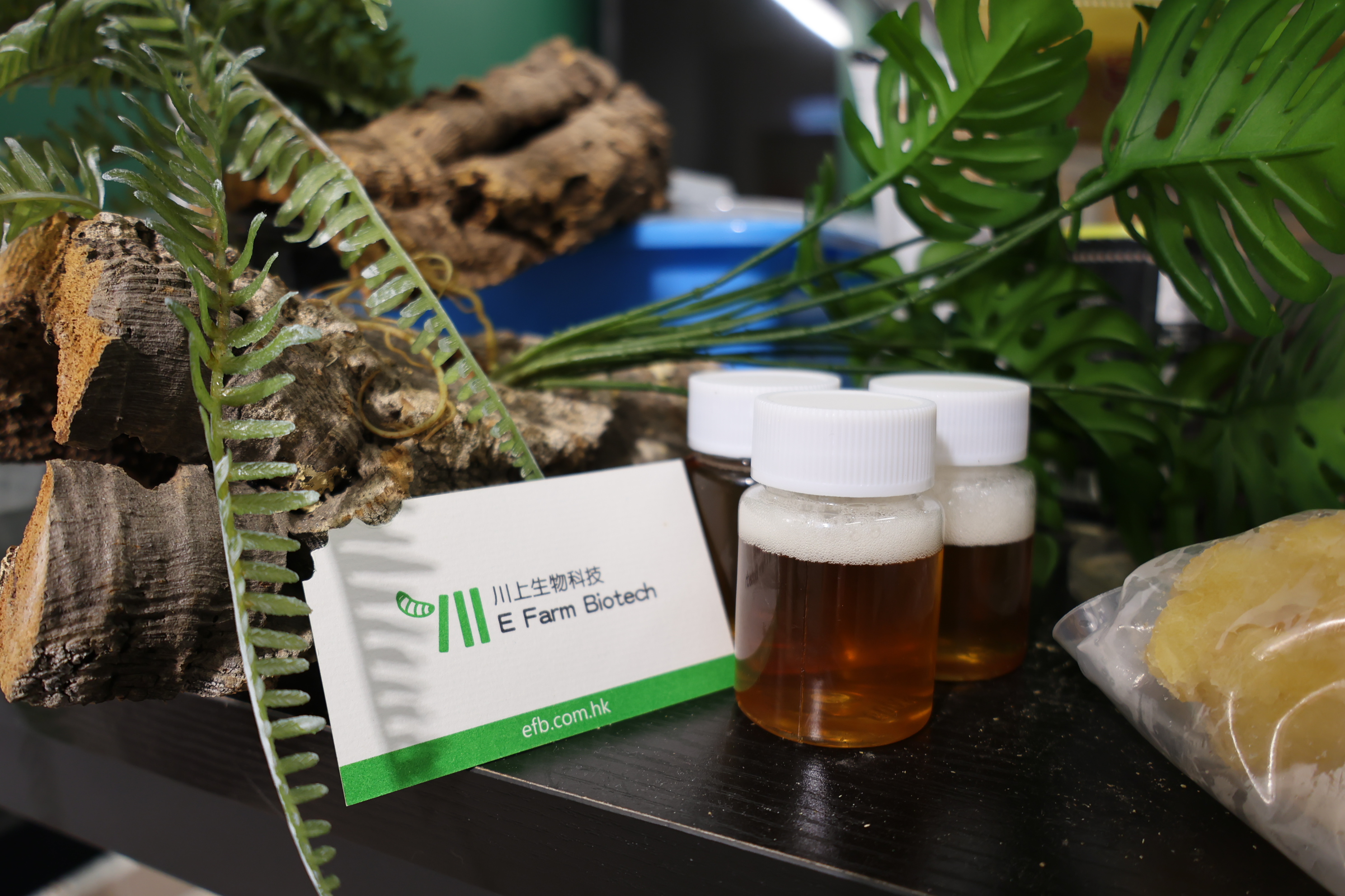 BSFL Handsoap Workshop